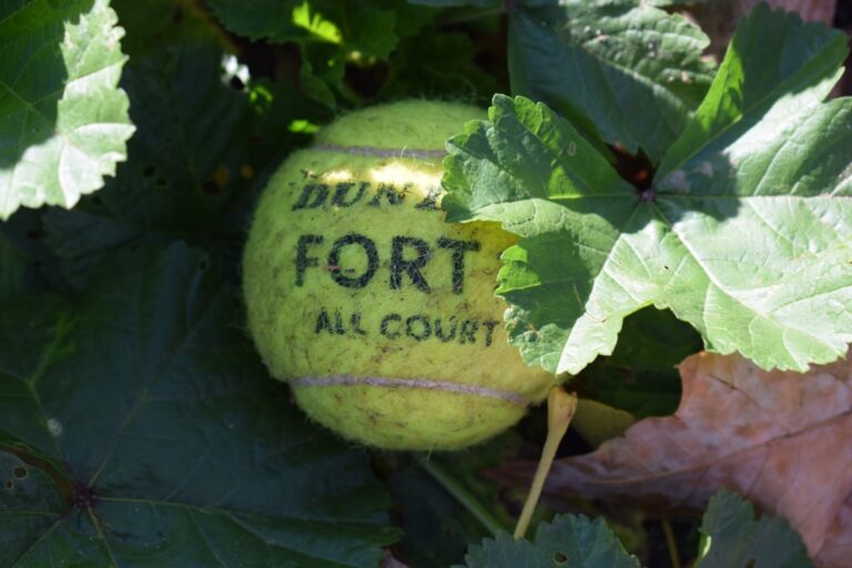 Co powinieneś wiedzieć o sprzęcie do muay thai przed pierwszym treningiem